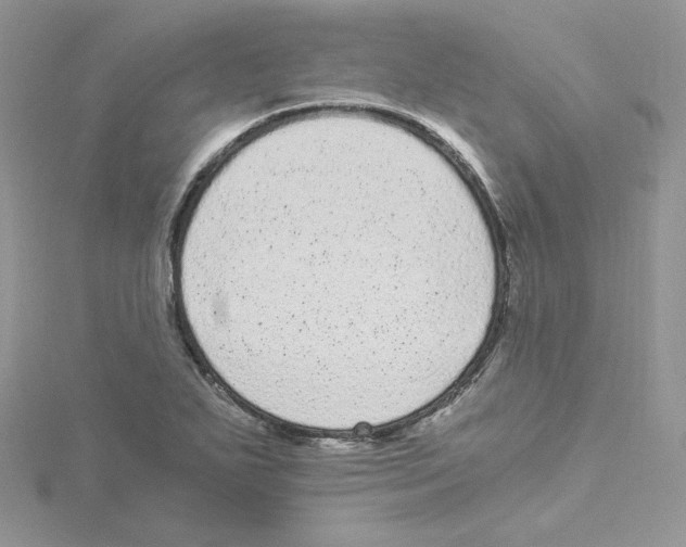 X0000114521271200911161309