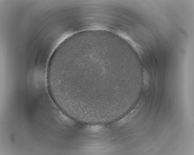 X0000114521278200911161308