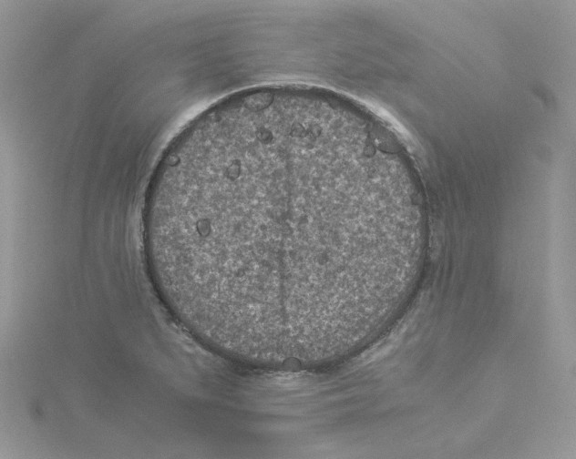 X0000114521279200911161308