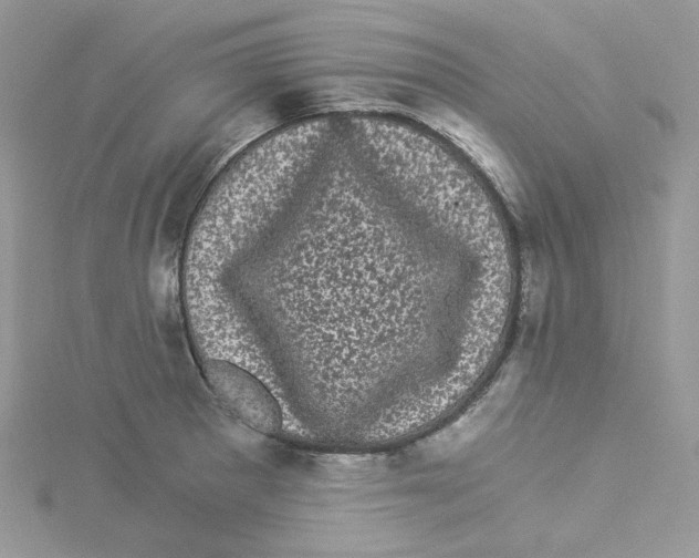 X0000114521281200911161308