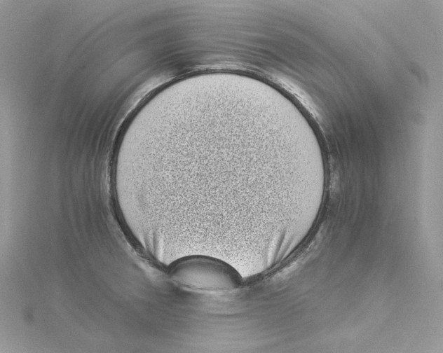 X0000114521282200911161308