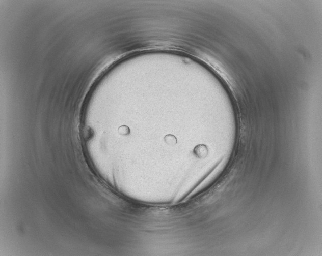 X0000114521283200911161308