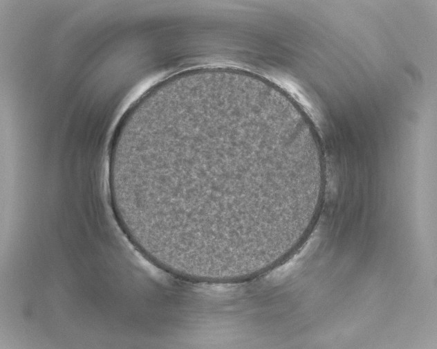 X0000114521286200911161308