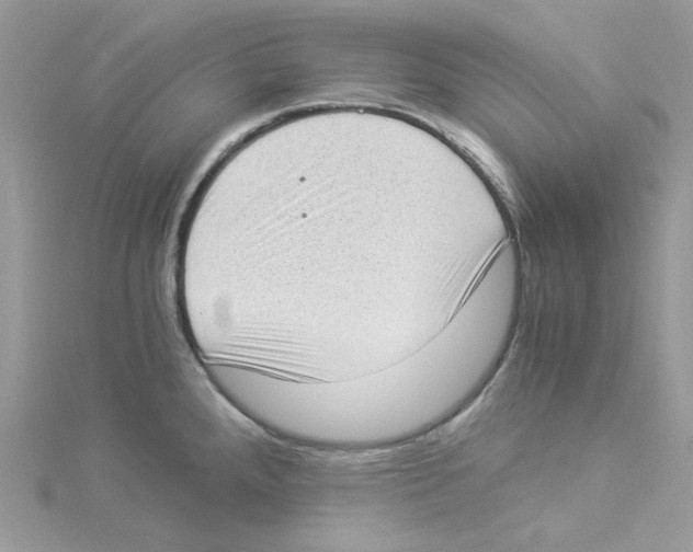 X0000114521288200911161308