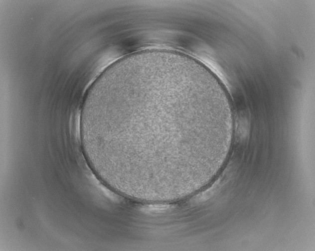 X0000114521290200911161308