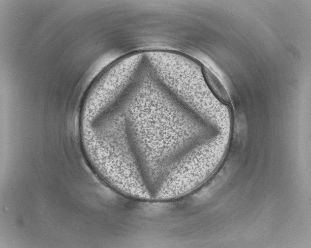 X0000114521293200911161308