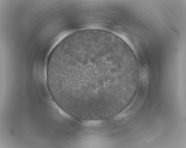 X0000114521294200911161308