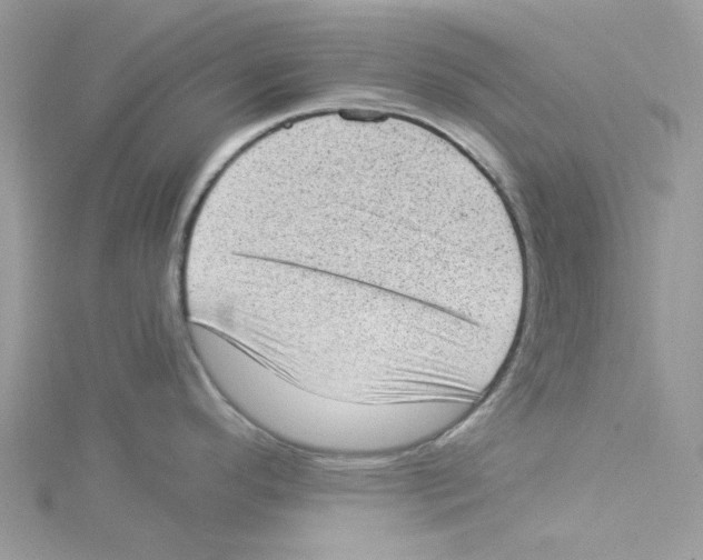 X0000114521296200911161308