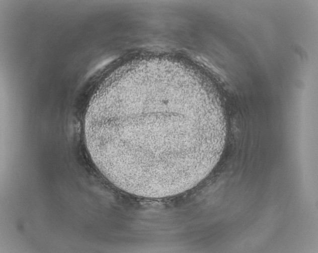 X0000114521302200911161308