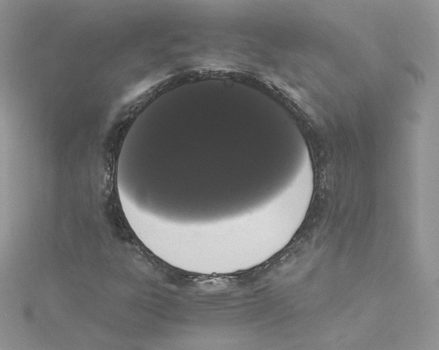 X0000114521303200911161308