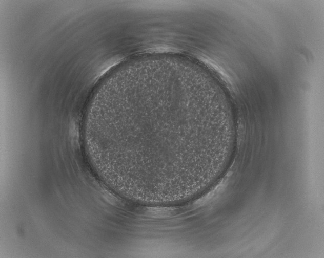 X0000114521305200911161308