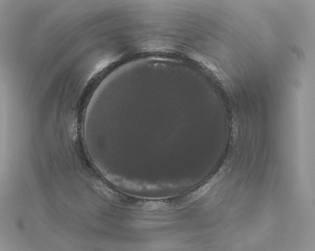 X0000114521306200911161308