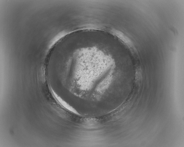 X0000114521310200911161308