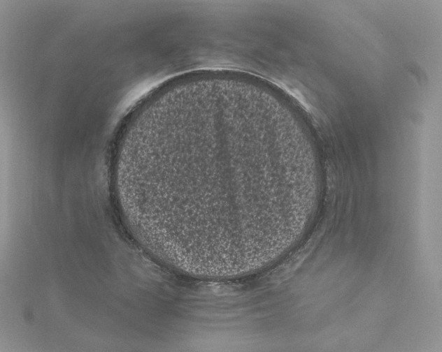 X0000114521311200911161308