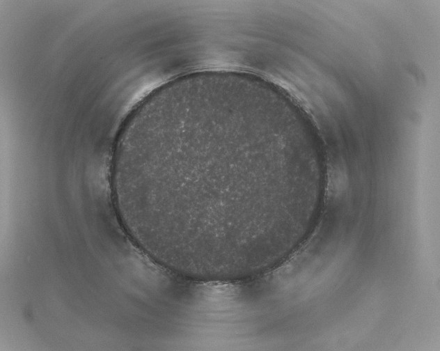 X0000114521314200911161308