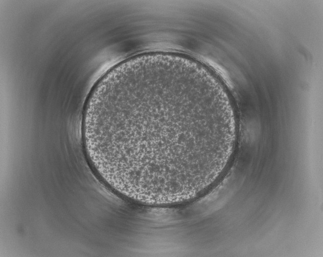 X0000114521322200911161308