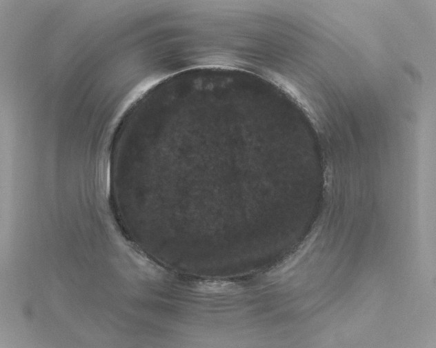 X0000114521323200911161308