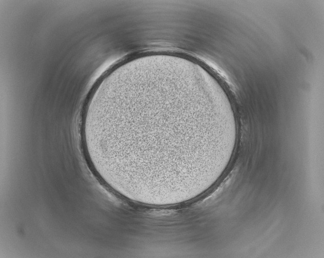 X0000114521325200911161308