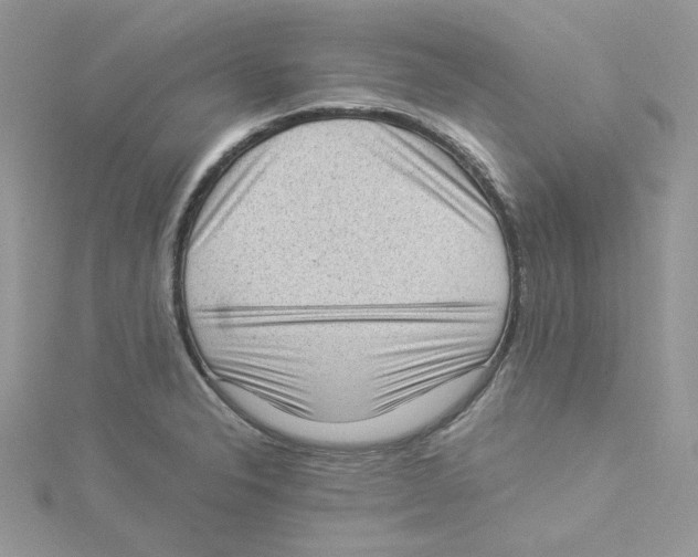 X0000114521326200911161308