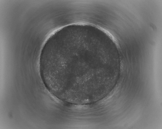 X0000114521327200911161308