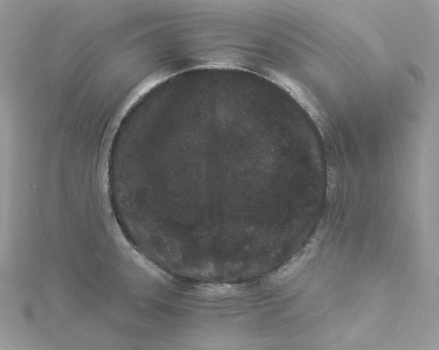 X0000114521331200911161308