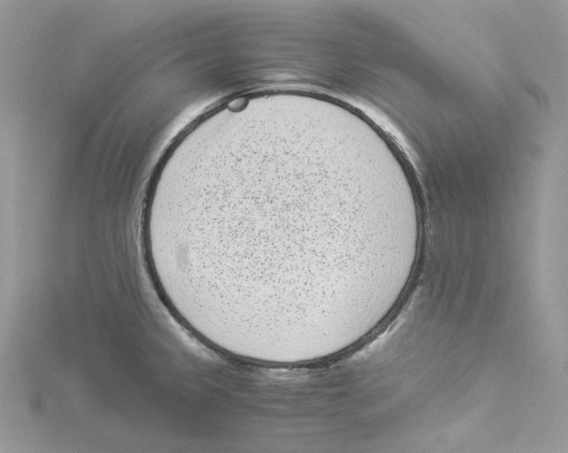 X0000114521333200911161308