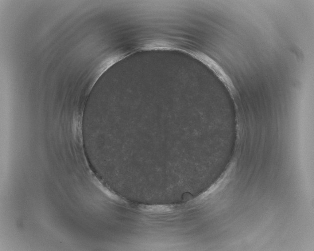 X0000114521337200911161308