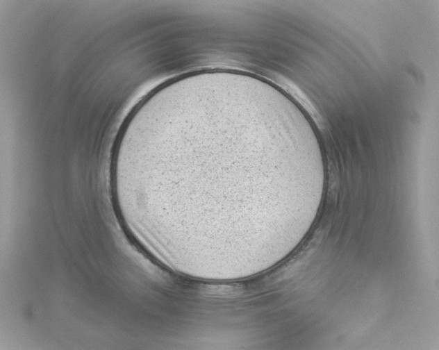 X0000114521339200911161308