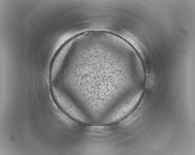 X0000114521342200911161308