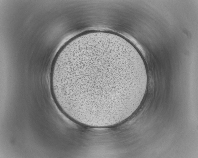 X0000114521343200911161308