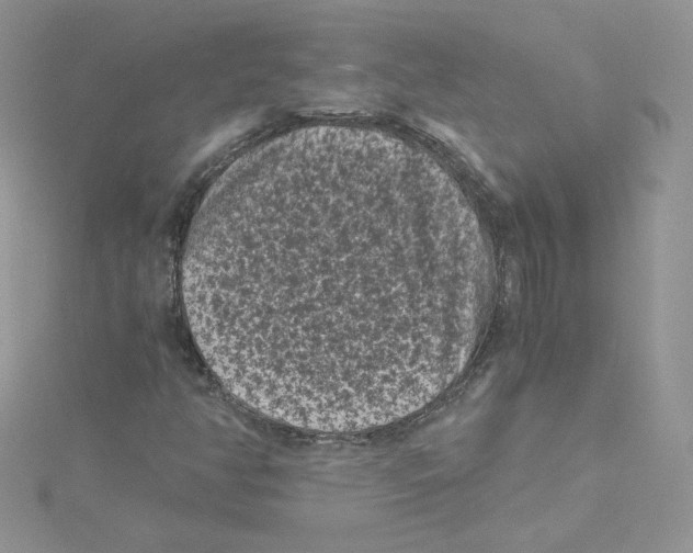 X0000114521350200911161308