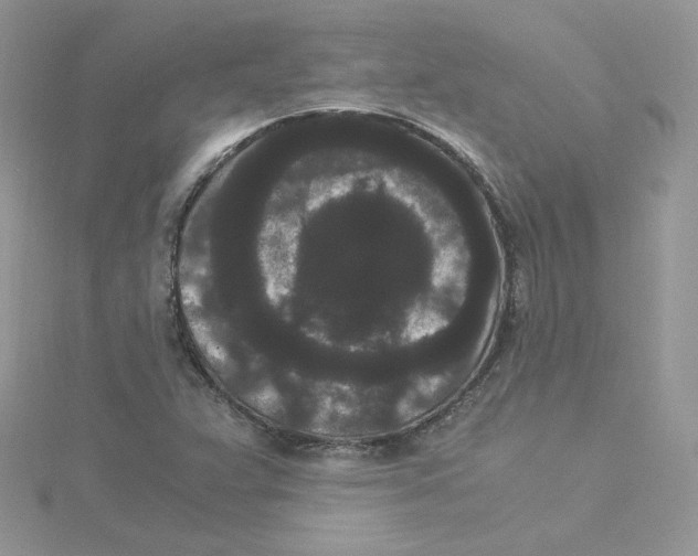 X0000114521359200911161307