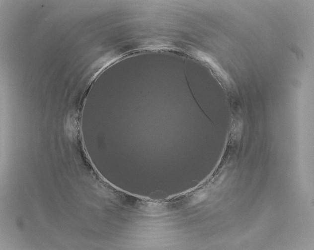 X0000114521361200911161307