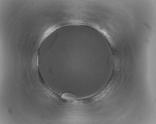 X0000114521365200911161307