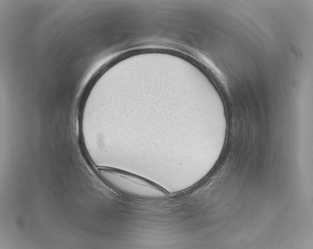 X0000114521368200911161307