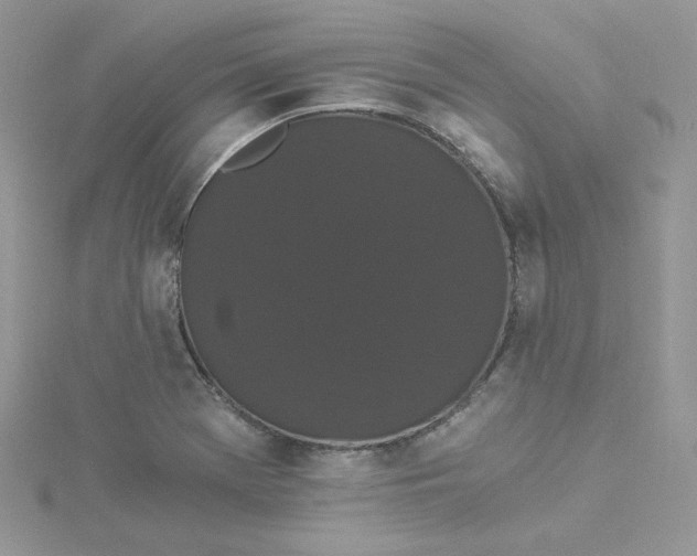 X0000114521369200911161307