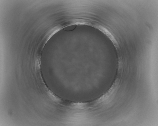 X0000114521377200911161307