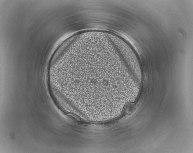 X0000114521379200911161307