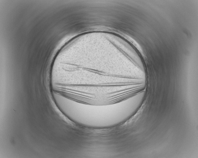 X0000114521381200911161307