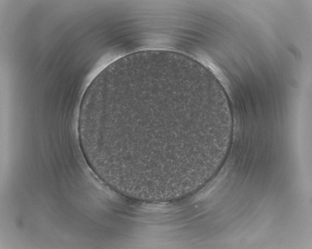 X0000114521386200911161307