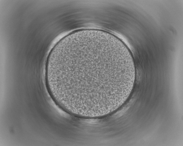 X0000114521387200911161307