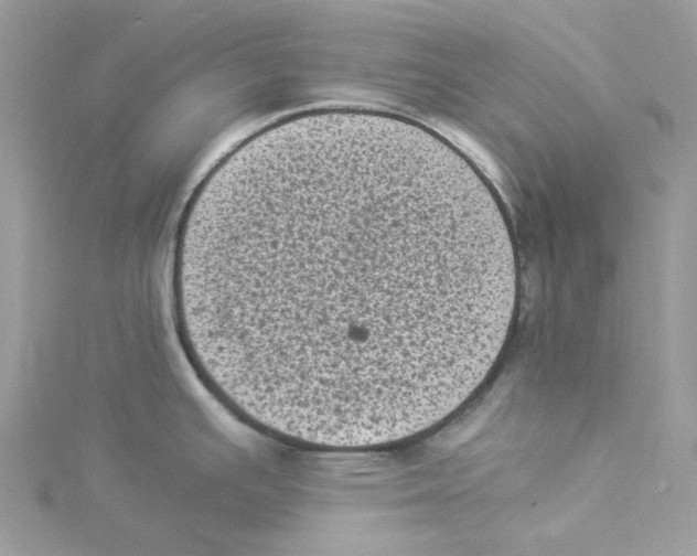 X0000114521391200911161307