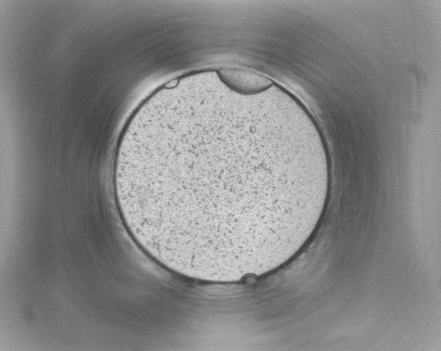 X0000114521392200911161307