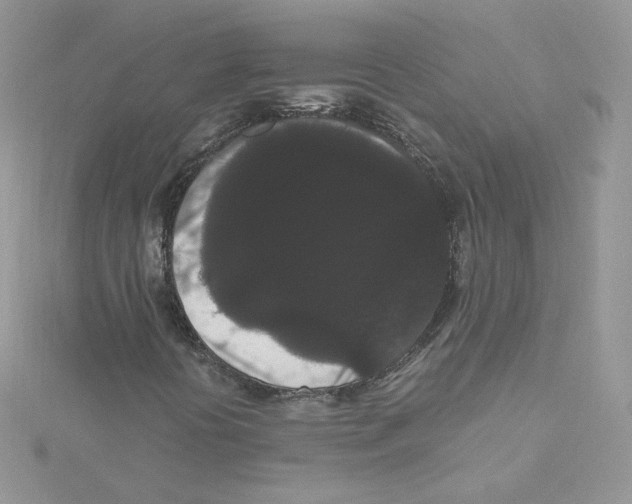 X0000114521394200911161306