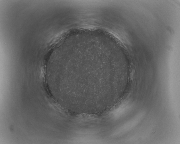 X0000114521397200911161306