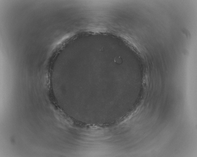 X0000114521398200911161306