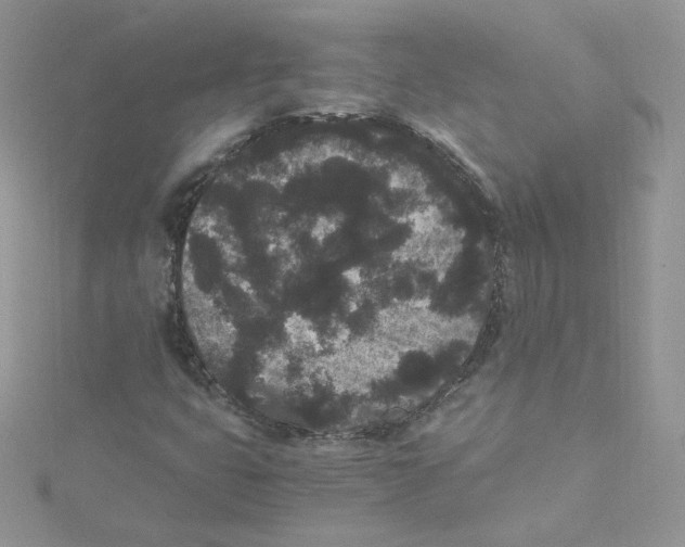 X0000114521399200911161306