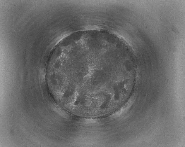 X0000114521401200911161306