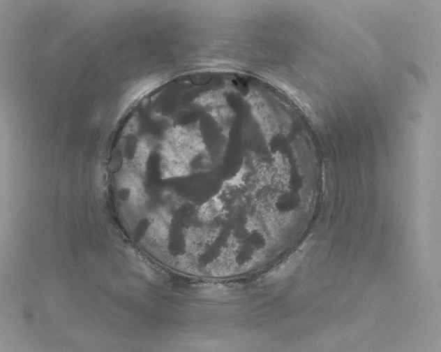 X0000114521405200911161306