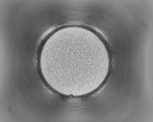 X0000114521406200911161306